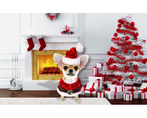 Desk Calendar DC 6